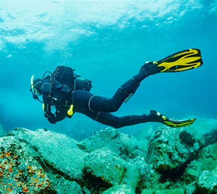 
Divi Henoch Passed Away In A Scuba Diving Accident: Obituary And Funeral Details 