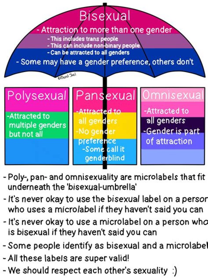 
Is Beyoncé Gay or Bi? Why Is Her Sexuality Being Questioned? 