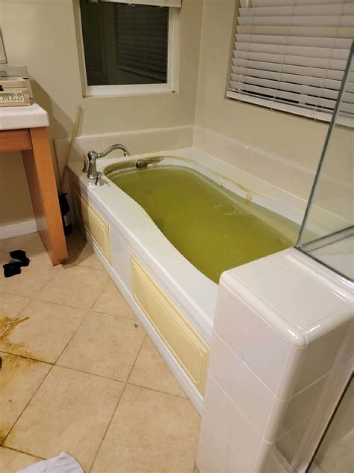 
Who Was Arnima Hayat On Facebook? Woman Dead Body Found In Bathtub 